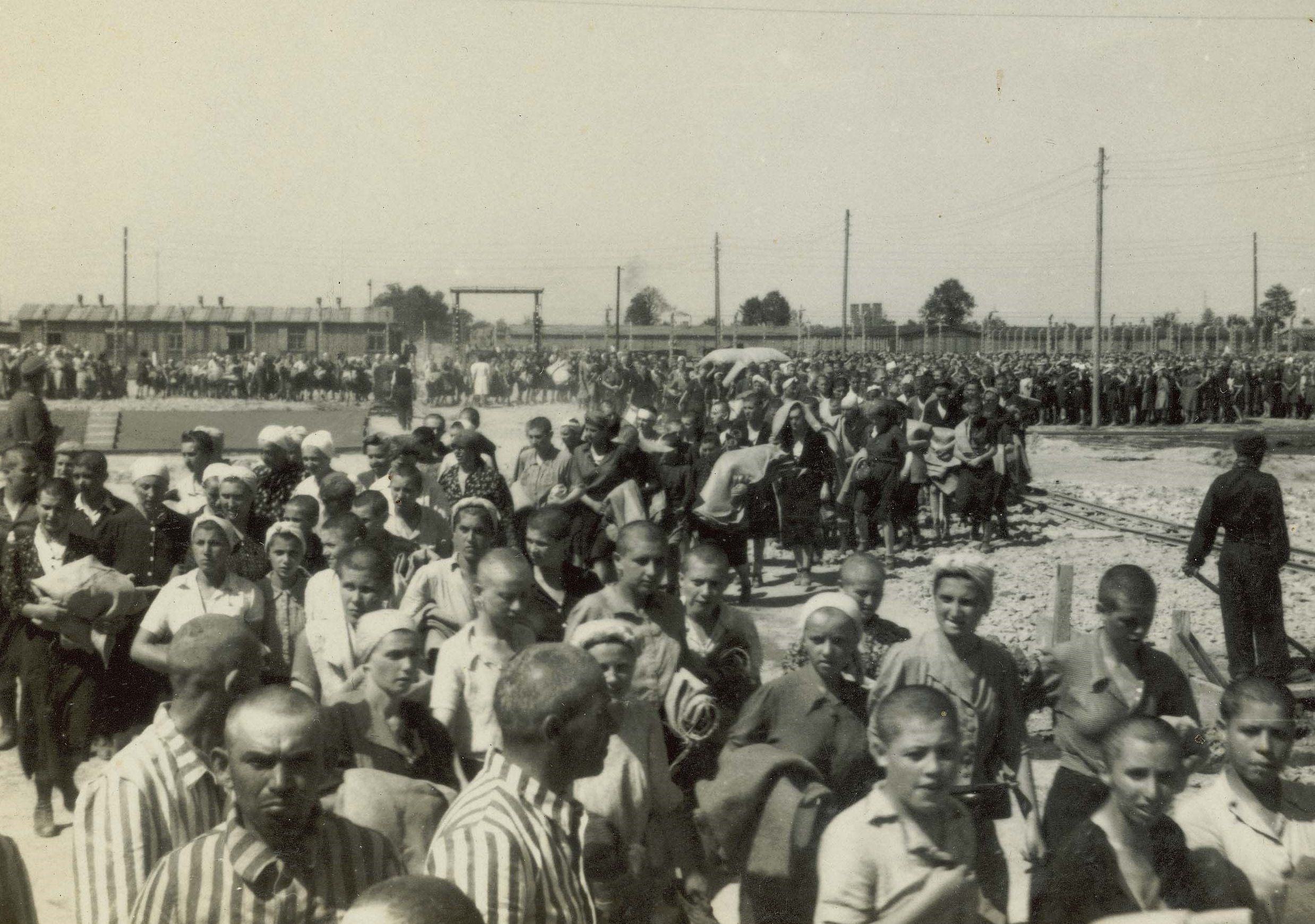 Jewish women waiting outside to be directed to the residential barracks. Place is crowded and everyone is crammed. Columns of prisoners are standing at the back. Behind them are the barracks and the camp fence.