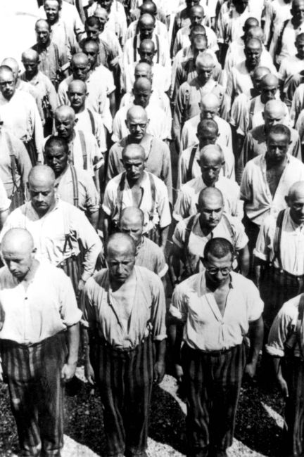 Frame from above. Rows of prisoners lined up evenly in rows. Heads shaved, dressed in pants and light-colored shirts.