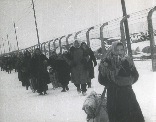 Auschwitz II-Birkenau. A group of liberated female prisoners walking along the wires of the camp fence. Snow, winter.