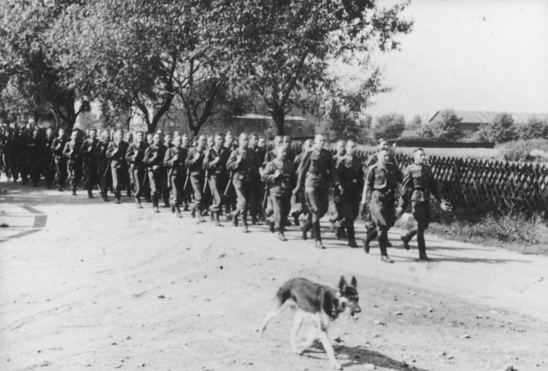SS men in uniforms, carrying rifles, marching along the wooden fence. There are tall trees growing behind the fence and buildings in the distance. A dog in the foreground.