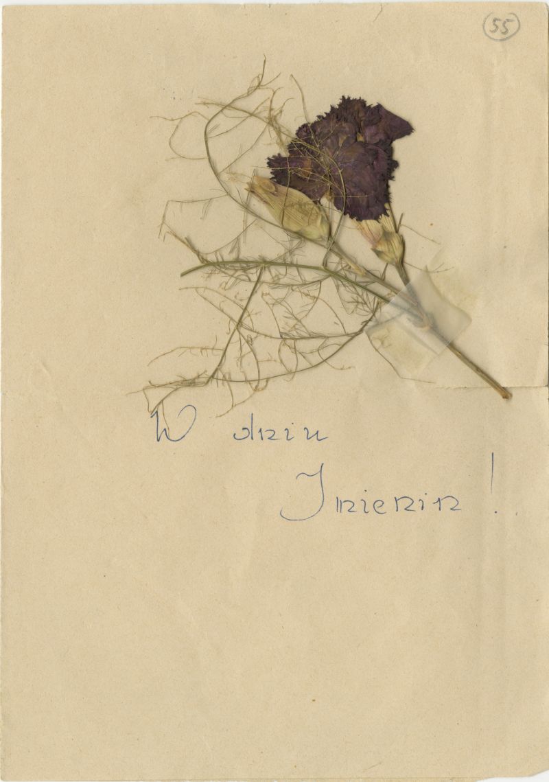 A card with the inscription 'Happy Name Day!' adorned with dried flowers.